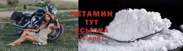 ПСИЛОЦИБИНОВЫЕ ГРИБЫ Горняк