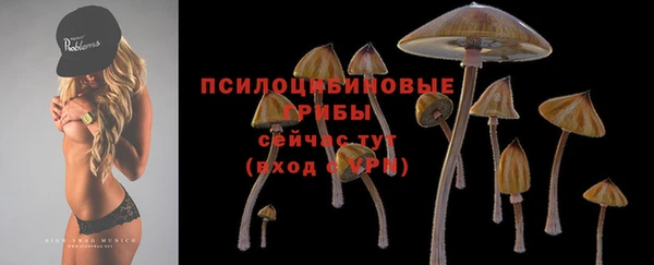 ПСИЛОЦИБИНОВЫЕ ГРИБЫ Горняк