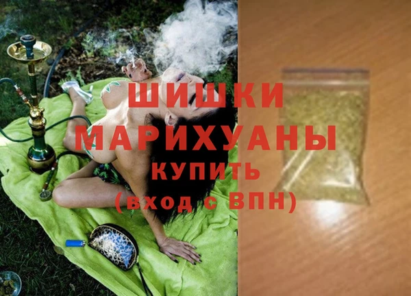 ПСИЛОЦИБИНОВЫЕ ГРИБЫ Горняк
