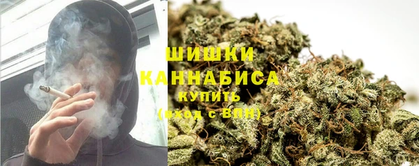 винт Горно-Алтайск