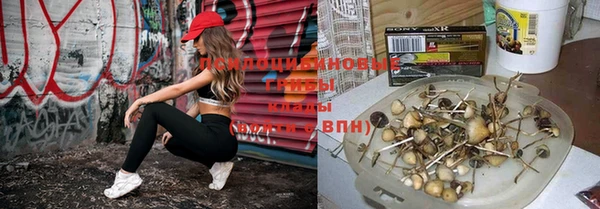 винт Горно-Алтайск