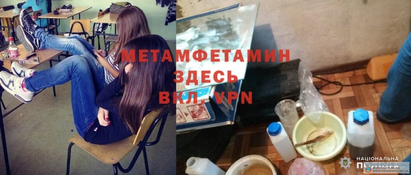 ПСИЛОЦИБИНОВЫЕ ГРИБЫ Горняк