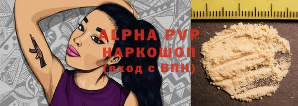ПСИЛОЦИБИНОВЫЕ ГРИБЫ Горняк