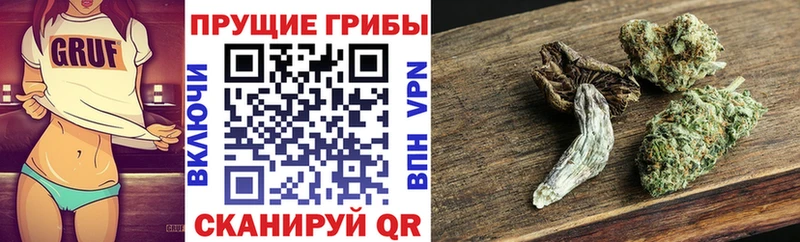 Псилоцибиновые грибы Psilocybine cubensis  Купить закладки  Ростов 